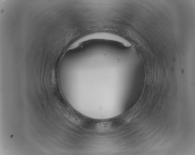 X0000071830700200607141700