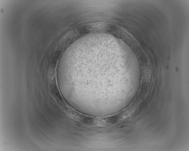 X0000071830701200607141700