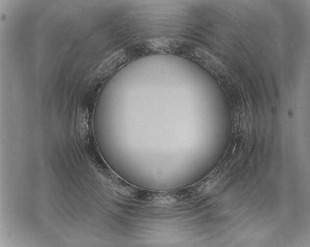 X0000071830702200607141700