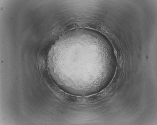 X0000071830703200607141700