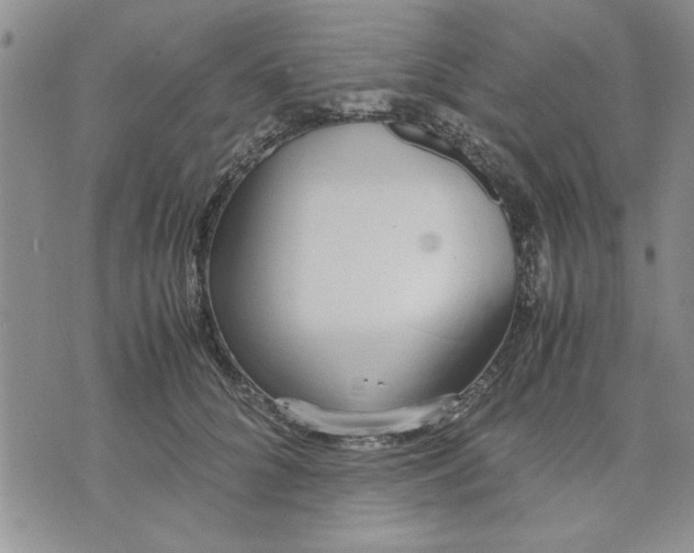 X0000071830704200607141700