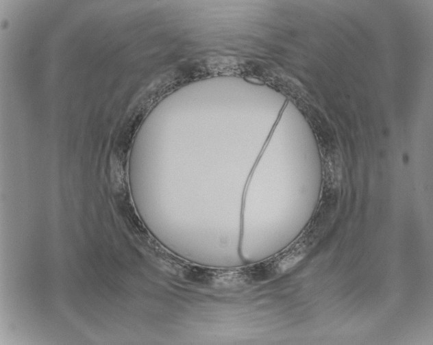 X0000071830705200607141700