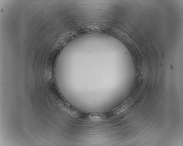 X0000071830706200607141700