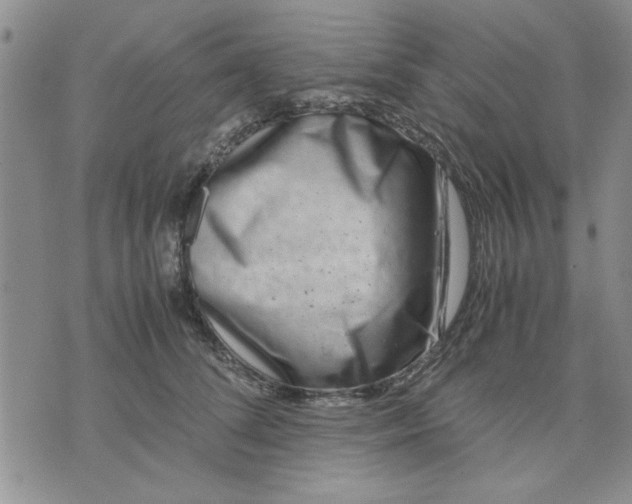 X0000071830708200607141700