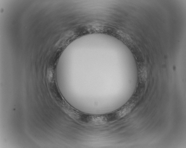 X0000071830709200607141700