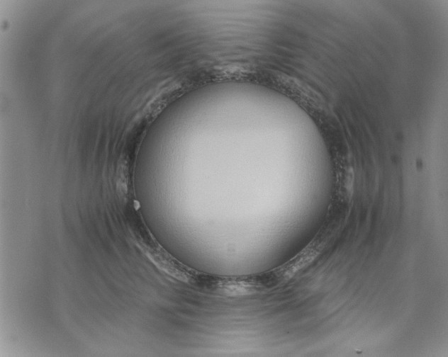 X0000071830710200607141700