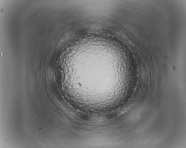 X0000071830711200607141700