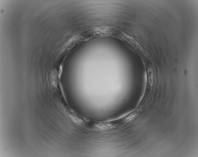 X0000071830712200607141700