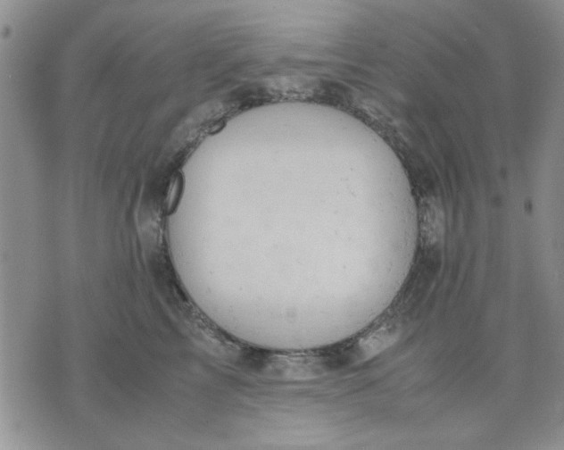 X0000071830713200607141700