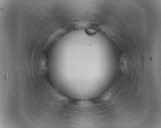 X0000071830714200607141700