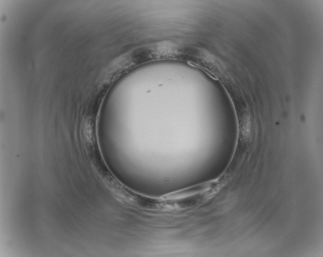 X0000071830715200607141700