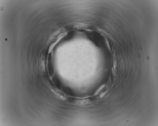 X0000071830716200607141700