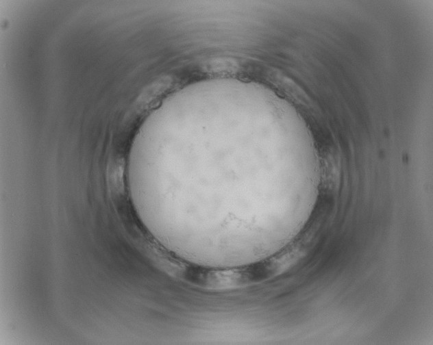 X0000071830717200607141700