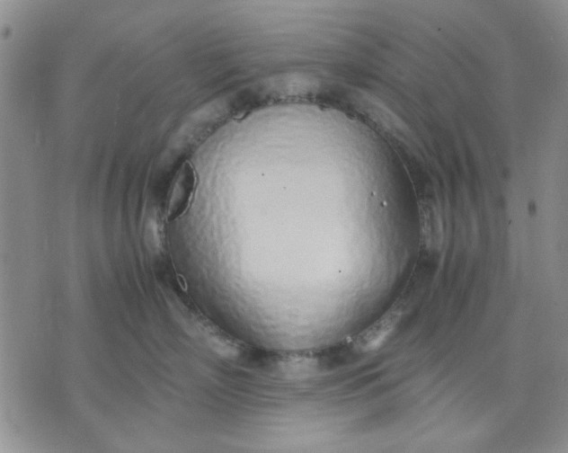 X0000071830718200607141700