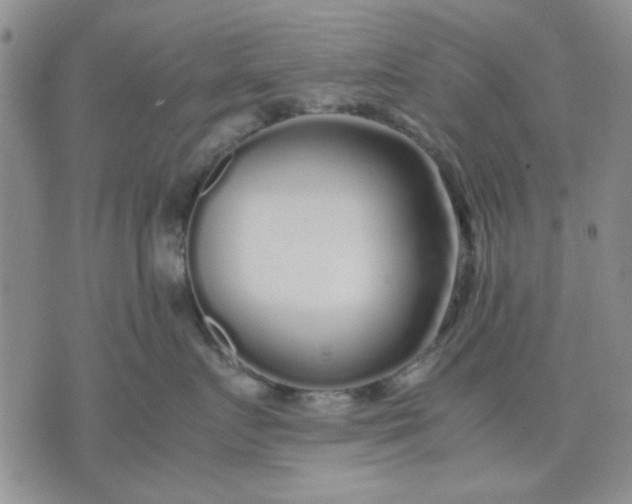 X0000071830719200607141700