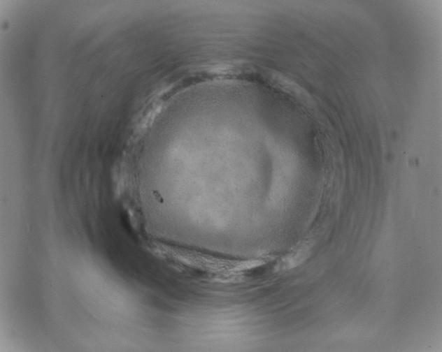 X0000071830720200607141700