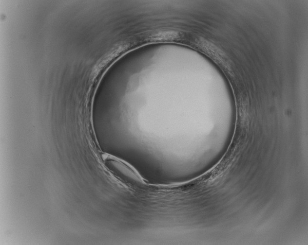 X0000071830721200607141659