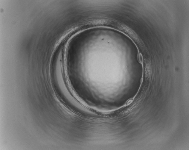 X0000071830722200607141659