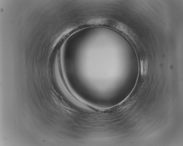 X0000071830723200607141659