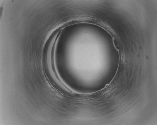 X0000071830724200607141659