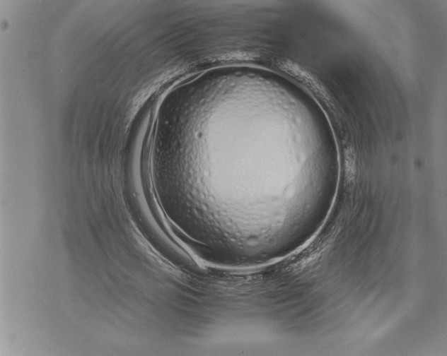 X0000071830725200607141659