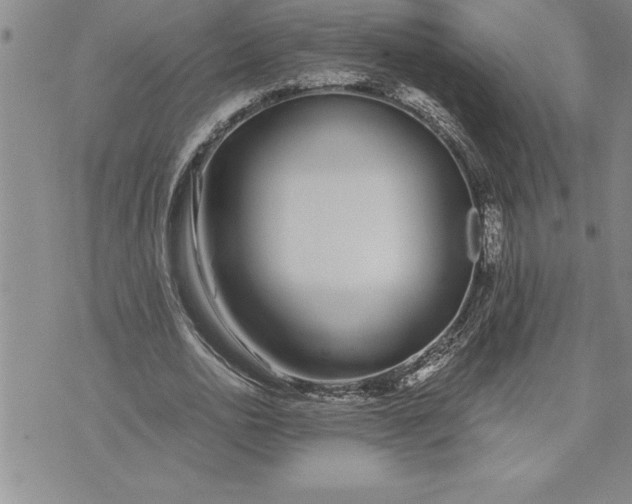 X0000071830726200607141659