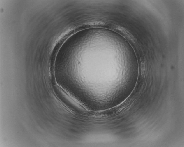 X0000071830727200607141659