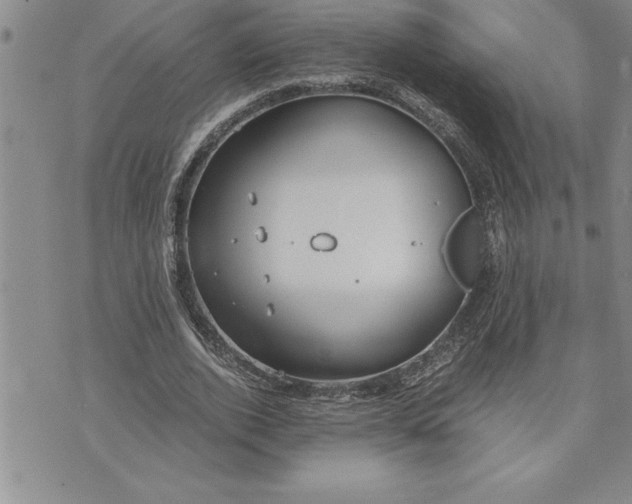 X0000071830728200607141659