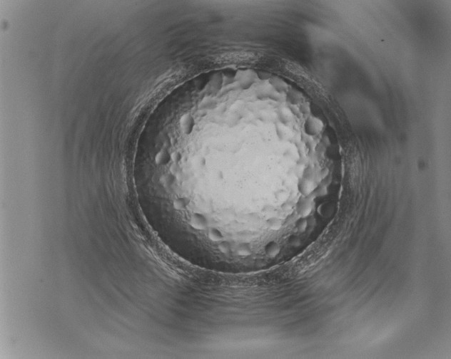 X0000071830729200607141659