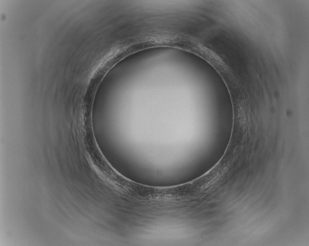 X0000071830730200607141659