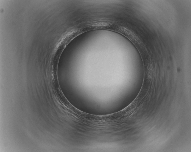 X0000071830731200607141659