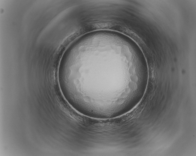 X0000071830733200607141659