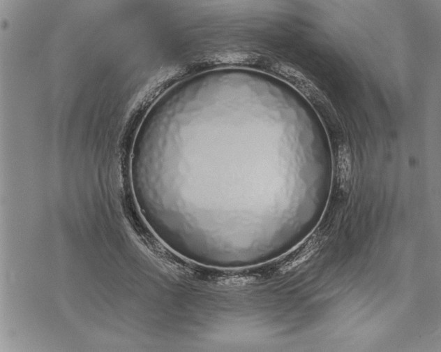 X0000071830734200607141659