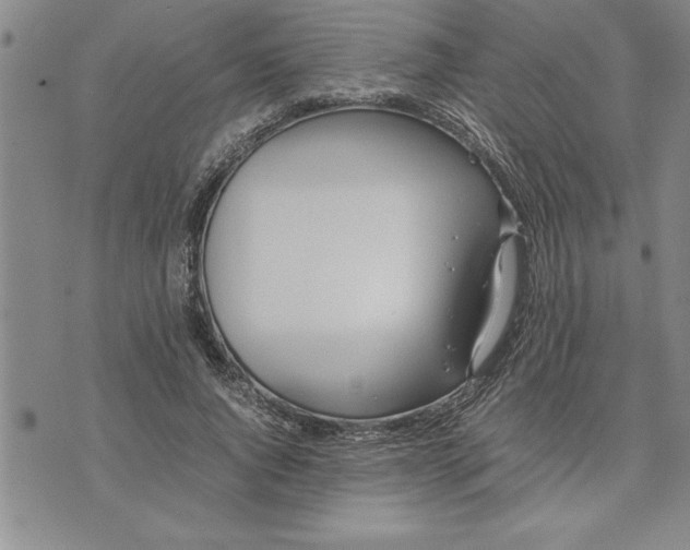 X0000071830736200607141659