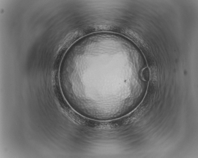 X0000071830738200607141659