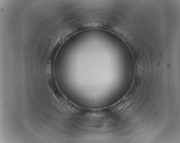 X0000071830739200607141700