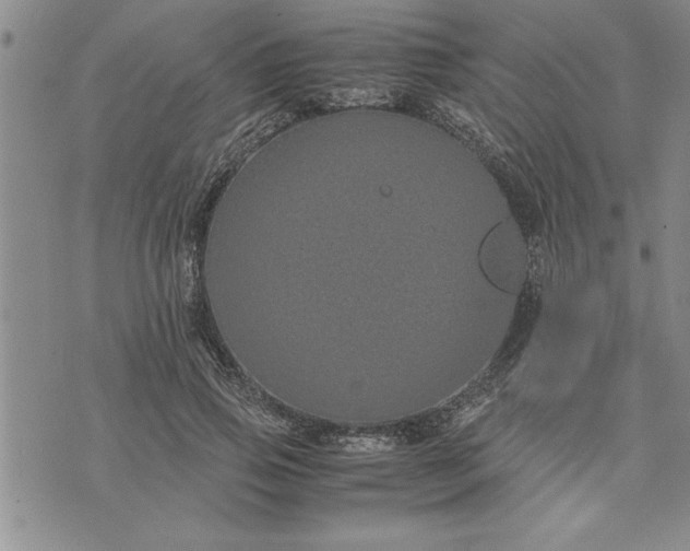 X0000071830741200607141700