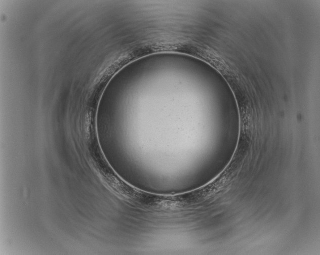 X0000071830742200607141700