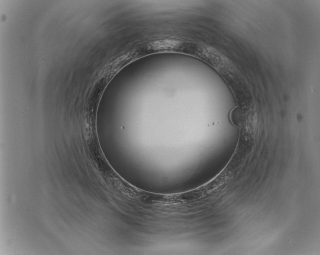 X0000071830743200607141700