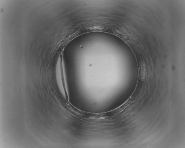 X0000071830747200607141700