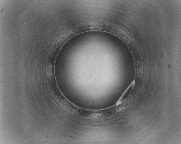 X0000071830748200607141700