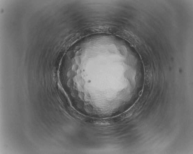 X0000071830749200607141700