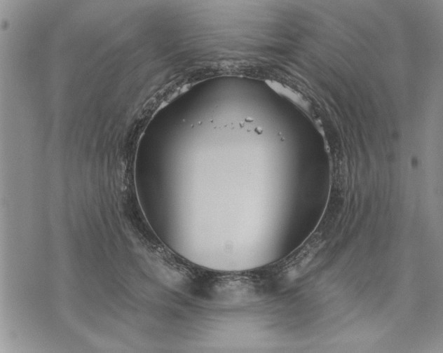 X0000071830750200607141700