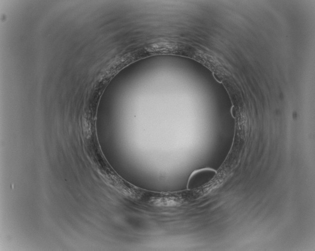 X0000071830751200607141700