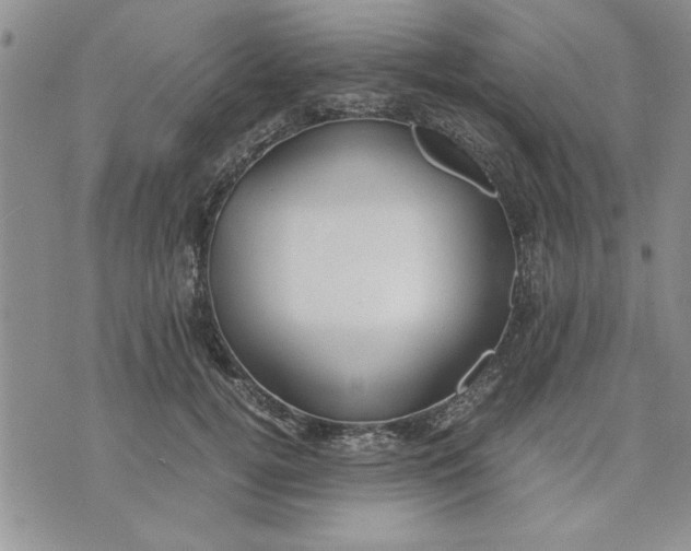 X0000071830752200607141700