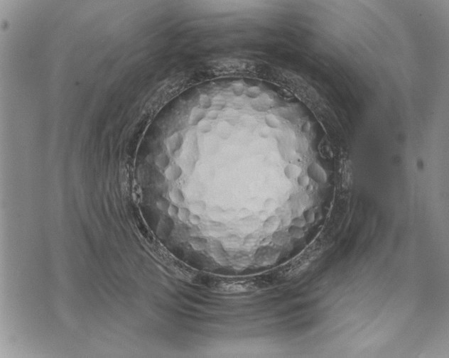 X0000071830753200607141700