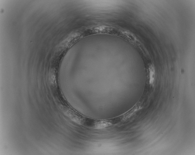 X0000071830754200607141700