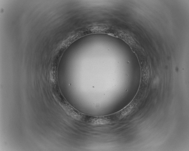 X0000071830755200607141700