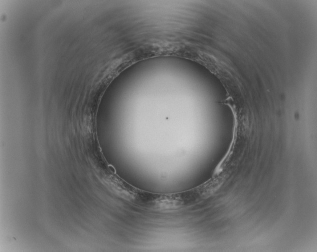 X0000071830756200607141700