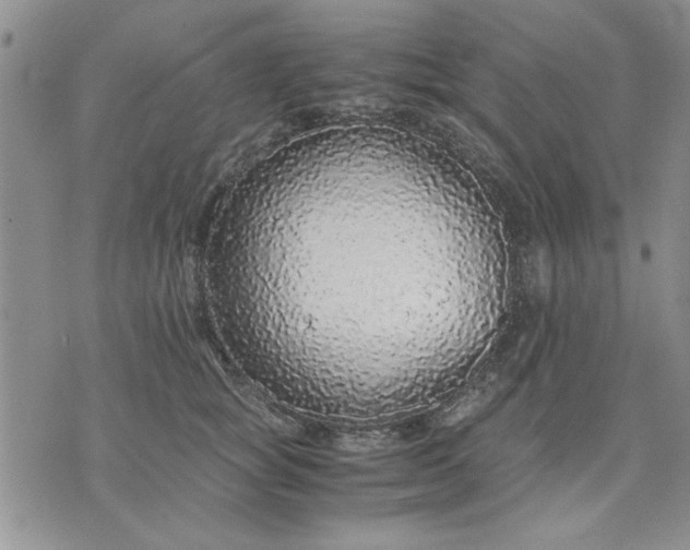 X0000071830757200607141700